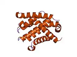 2bzw: THE CRYSTAL STRUCTURE OF BCL-XL IN COMPLEX WITH FULL-LENGTH BAD