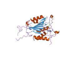 2c1e: CRYSTAL STRUCTURES OF CASPASE-3 IN COMPLEX WITH AZA-PEPTIDE MICHAEL ACCEPTOR INHIBITORS.