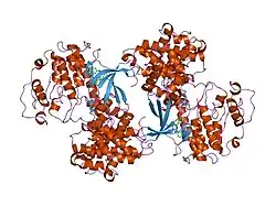 2c5x: DIFFERENTIAL BINDING OF INHIBITORS TO ACTIVE AND INACTIVE CDK2 PROVIDES INSIGHTS FOR DRUG DESIGN