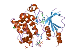 2cdz: CRYSTAL STRUCTURE OF THE HUMAN P21-ACTIVATED KINASE 4 IN COMPLEX WITH CGP74514A
