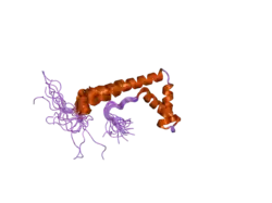2crj: Solution structure of the HMG domain of mouse HMG domain protein HMGX2