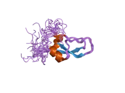 2ddi: NMR structure of the second Kunitz domain of human WFIKKN1