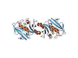 2dhf: CRYSTAL STRUCTURES OF RECOMBINANT HUMAN DIHYDROFOLATE REDUCTASE COMPLEXED WITH FOLATE AND 5-DEAZOFOLATE