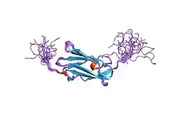 2dia: Solution structure of the 10th filamin domain from human Filamin-B
