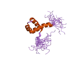 2din: Solution structure of the Myb_DNA-binding domain of human Cell division cycle 5-like protein