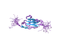2dm2: Solution structure of the first ig domain of human palladin