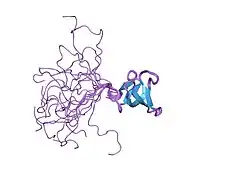 2do3: Solution structure of the third KOW motif of transcription elongation factor SPT5
