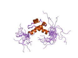 2doe: Solution structure of the third FF domain of human transcription factor CA150