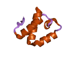 2dt6: Solution structure of the first SURP domain of human splicing factor SF3a120