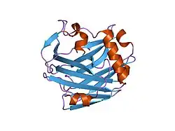 2erf: Crystal Structure of the Thrombospondin-1 N-terminal Domain at 1.45A Resolution