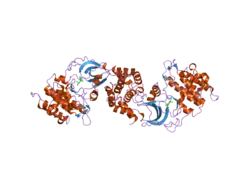 2etr: Crystal Structure of ROCK I bound to Y-27632