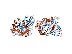 2f61: Crystal structure of partially deglycosylated acid beta-glucosidase
