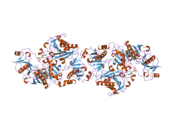 2fgh: ATP bound gelsolin