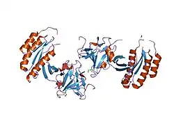 2fu5: structure of Rab8 in complex with MSS4