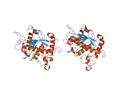 2fv9: Crystal structure of TACE in complex with JMV 390-1