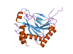 2g1m: Cellular Oxygen Sensing: Crystal Structure of Hypoxia-Inducible Factor Prolyl Hydroxylase (PHD2)