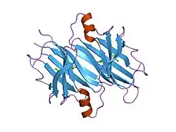 2g5u: Human Transthyretin (TTR) Complexed with Hydroxylated polychlorinated Biphenyl-4,4'-dihydroxy-3,3',5,5'-tetrachlorobiphenyl