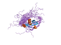 2gow: Solution structure of BC059385 from Homo sapiens