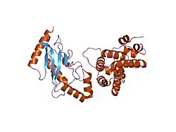 2grn: Crystal Structure of human RanGAP1-Ubc9