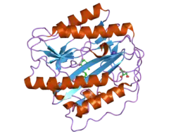 2gz5: Human Type 1 methionine aminopeptidase in complex with ovalicin at 1.1 Ang