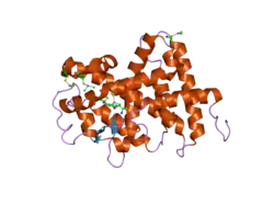 2h77: Crystal structure of human TR alpha bound T3 in monoclinic space group