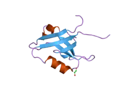 2he4: The crystal structure of the second PDZ domain of human NHERF-2 (SLC9A3R2) interacting with a mode 1 PDZ binding motif