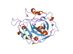 2hfy: Structural and kinetic analysis of proton shuttle residues in the active site of human carbonic anhydrase III
