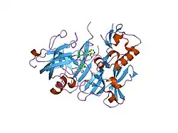 2hm1: Crystal Structure of human beta-secretase (BACE) in the presence of an inhibitor (2)