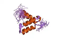 2hp8: SOLUTION STRUCTURE OF HUMAN P8-MTCP1, A CYSTEINE-RICH PROTEIN ENCODED BY THE MTCP1 ONCOGENE,REVEALS A NEW ALPHA-HELICAL ASSEMBLY MOTIF, NMR, 30 STRUCTURES