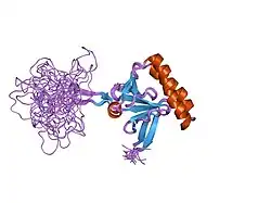 2hr9: Solution structure of human translationally controlled tumor protein