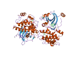 2i0e:Structure of catalytic domain of human protein kinase C beta II complexed with a bisindolylmaleimide inhibitor
