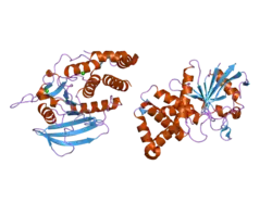 2i3r: Engineered catalytic domain of protein tyrosine phosphatase HPTPbeta