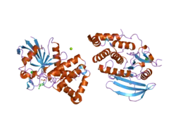 2i5x: Engineering the PTPbeta catalytic domain with improved crystallization properties