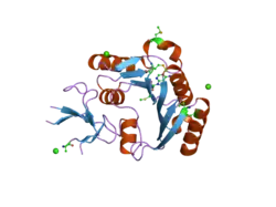 2ipx: Human Fibrillarin