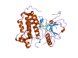 2itz: CRYSTAL STRUCTURE OF EGFR KINASE DOMAIN L858R MUTATION IN COMPLEX WITH IRESSA