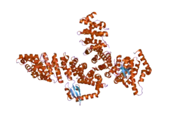 2jdq: C-TERMINAL DOMAIN OF INFLUENZA A VIRUS POLYMERASE PB2 SUBUNIT IN COMPLEX WITH HUMAN IMPORTIN ALPHA5