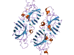 2nnx: Crystal Structure of the H46R, H48Q double mutant of human [Cu-Zn] Superoxide Dismutase