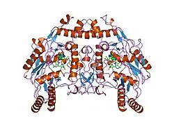 2nse: BOVINE ENDOTHELIAL NITRIC OXIDE SYNTHASE SUBSTRATE COMPLEX