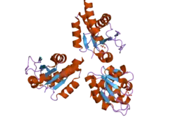 2nt2: Crystal Structure of Slingshot phosphatase 2
