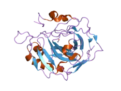 2nwo: Structural and kinetic effect of hydrophobic mutations in the active site of human carbonic anhydrase II