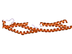 2odu: Crystal structure of a fragment of the plakin domain of plectin