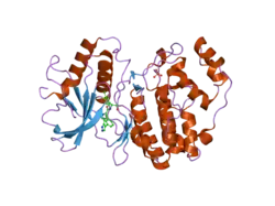 2ojj: Crystal structure of ERK2 in complex with (S)-N-(1-(3-chloro-4-fluorophenyl)-2-hydroxyethyl)-4-(4-(3-chlorophenyl)-1H-pyrazol-3-yl)-1H-pyrrole-2-carboxamide