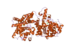 2ous: crystal structure of PDE10A2 mutant D674A