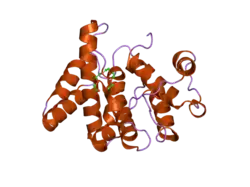 2ovj: The crystal structure of the human Rac GTPase activating protein 1 (RACGAP1) MgcRacGAP.
