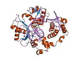 2pfn: Na in the active site of DNA Polymerase lambda