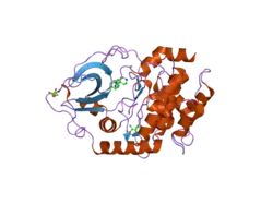 2uw7: STRUCTURE OF PKA-PKB CHIMERA COMPLEXED WITH 4-(4-CHLORO-PHENYL)-4-(4-(1H-PYRAZOL-4-YL)-PHENYL)-PIPERIDINE