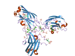 2uzp: CRYSTAL STRUCTURE OF THE C2 DOMAIN OF HUMAN PROTEIN KINASE C GAMMA.