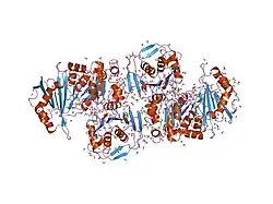 3pmg: STRUCTURE OF RABBIT MUSCLE PHOSPHOGLUCOMUTASE AT 2.4 ANGSTROMS RESOLUTION. USE OF FREEZING POINT DEPRESSANT AND REDUCED TEMPERATURE TO ENHANCE DIFFRACTIVITY