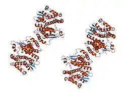 4gtu: LIGAND-FREE HOMODIMERIC HUMAN GLUTATHIONE S-TRANSFERASE M4-4