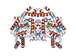 4nse: BOVINE ENDOTHELIAL NITRIC OXIDE SYNTHASE, H4B-FREE, L-ARG COMPLEX